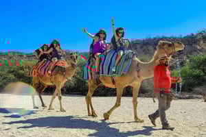Los Cabos: Camel Ride in the Canyon & Thrilling Water-Slides