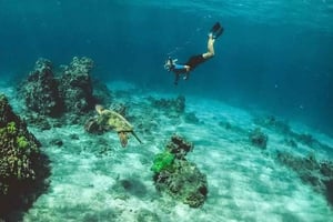 Los Cabos: aventura de snorkel em Santa Maria e Chileno Bay