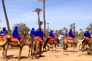 Balade à dos de chameau dans la Palmeraie de Marrakech avec pause thé