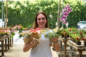 Medellin: avventura nell'Oriente, villaggi magici, orchidee e paesaggi