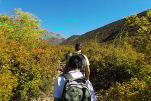 Mendoza: 4-stündiges Berg-Trekking mit Mittagessen