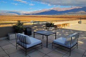 Mendoza en un dia, tour guiado, olivicola, bodega, montaña, parque S Martin