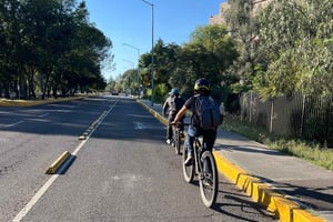 Ciudad de México: Bici, Cannabis, Naturaleza, Comida, Cultura e Historia.