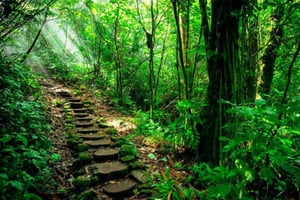 Mombacho Natural Reserve and Canopy Adventure