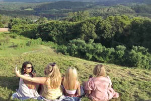 Noosa: Maleny & Montville-tur med frokost og vinsmagning