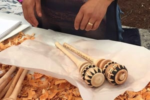 Oaxaca: Spacer po lesie i przyrodzie