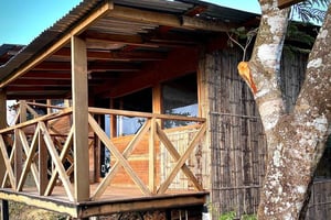 Panama: accommodatie en safari in de jungle