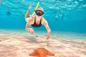 Playa del Carmen: tour a bordo di Cozumel con pranzo