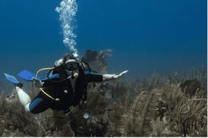 Playa del Carmen: Discover Scuba Diving