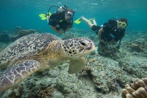 Playa del Carmen: Upptäck den surrealistiska världen av scubadykning