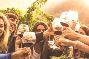 Private Day Mendoza Wineries (Opt Flight from Buenos Aires)