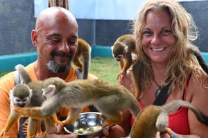 Puerto Plata: Cultural Tour & Ethical Monkey Observation