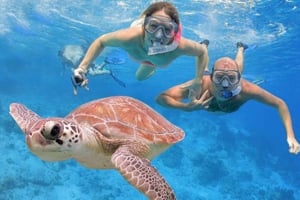 Punta Cana: Cana Cana: Catalinan saaren päiväretki snorklaamalla