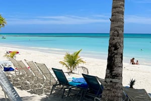 Punta Cana: Saariloma Catalinassa • snorklaus ja lounas