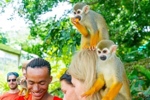Punta Cana: Tour Aventura con Monos con Recogida en el Hotel