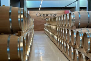 Ribera Duero: visit and tasting at Bodegas Comenge. Discover our secrets