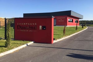 Sacy: degustación original de champán