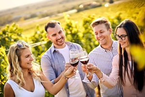 Santiago: World-class Wines, Visit to 4 Vineyards and Tanino