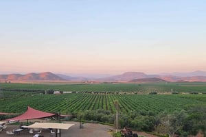 Valle de Guadalupe Tour: wijnproeverijen inbegrepen