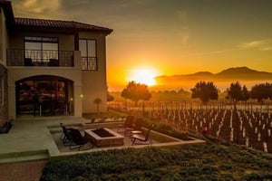 Valle de Guadalupe: Wine Tasting and Wagon Tour