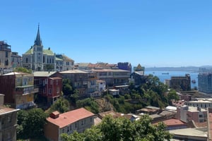 Valparaíso & Viña del Mar + wijnmakerij in Casablanca Valley