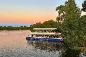 Victoria Falls: Sunset Cruise on the Zambezi River