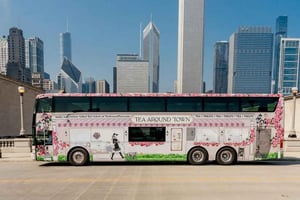 Chicago: Te rundt om i byen med utvalgte teer og ikoniske severdigheter