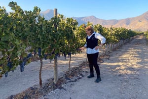 Aconcagua: prywatna wycieczka po winnicach