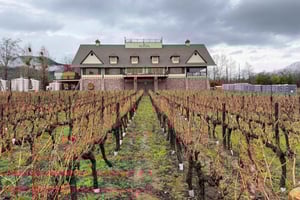 Alyan Family Wines | Il tour al tramonto