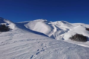 Uppstigning till vulkanen Quetrupillán 2370masl, från Pucón