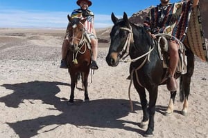 Atacama-ørkenen: Eventyr på hesteryg med naturskønne udsigter