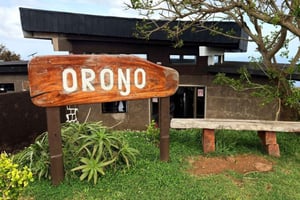 Birdman-seremonirute: Halvdagsomvisning i Orongo og Rano Kau