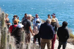 Caleta Los Hornos: Archäologische Stätten erwandern