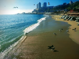 Caleta Portales Beach