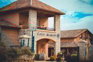 Casa Marin Vineyard