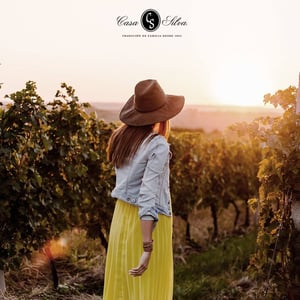 Casa Silva Winery