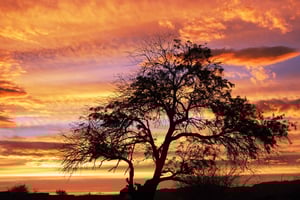 Tour delle lagune di Cejar e Tebenquiche con Ojos del Salar Atacama