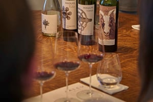 Colchagua Valley: Tour Privado