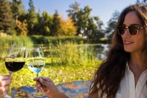 Concha y Toro Vineyard Premium Tour m/transport