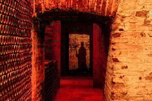 Santiago: tour della nuova cantina Concha y Toro