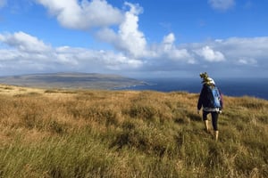 Osterinsel: Private Wanderung zum Vulkan Poike mit Guide