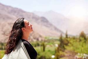 Tour della Valle dell'Elqui: Patrimoniali e naturali