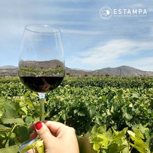 Estampa Winery