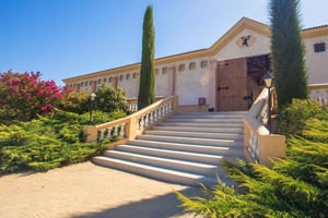 Estancia El Cuadro : Visite œnologique privée dans la vallée de Casablanca