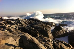 Eksklusiv gåtur i Zapallar, luksuriøse palæer og Cachaguas dyreliv