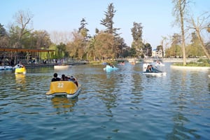 Family Tour in Santiago: Quinta Normal Park and Museums
