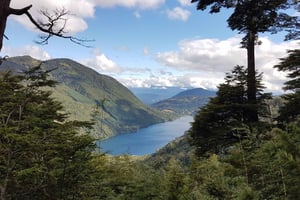 Fra Pucón: Vandretur i nationalparken Huerquehue