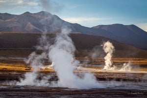 Da San Pedro de Atacama: Campo di geyser e zone umide di El Tatio