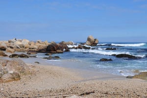 Da Santiago: Isla Negra, Museo Pablo Neruda e tour della cantina