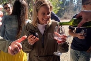 Santiago: Maipo Valley Wine Tasting Tour with 4 Vineyards